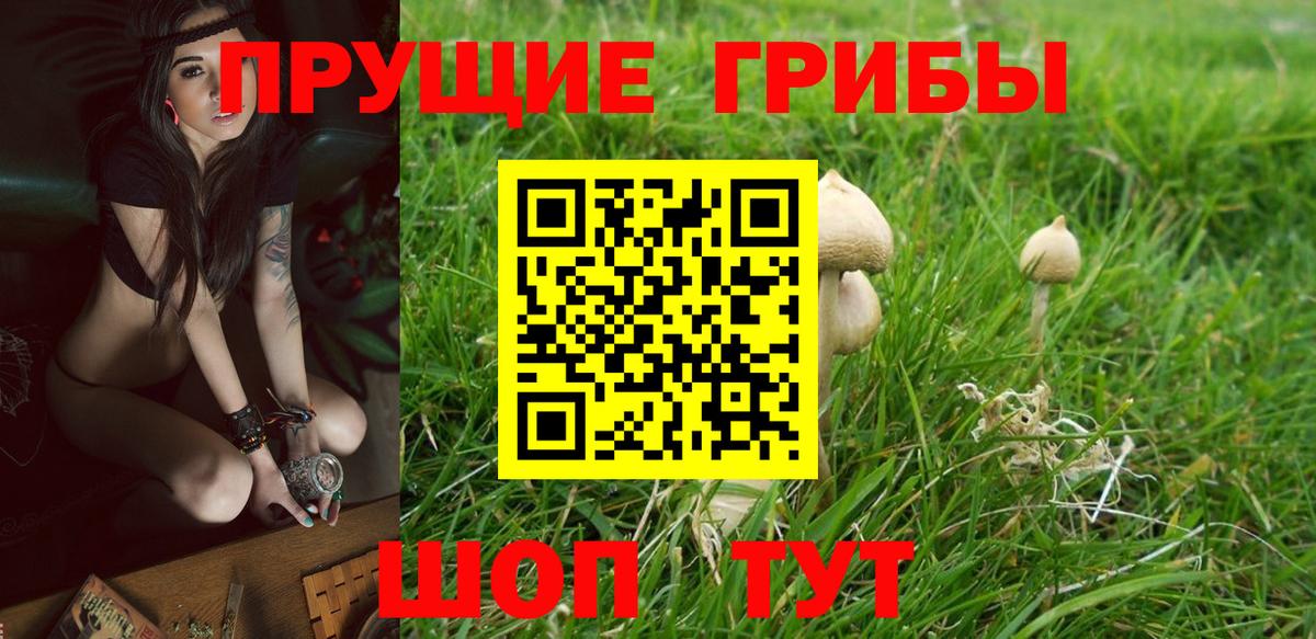 Псилоцибиновые грибы Magic Shrooms  Вход с VPN  Черкесск 
