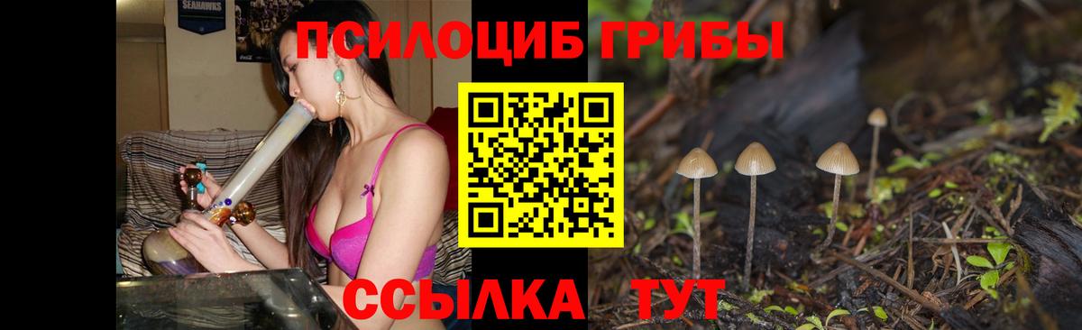 Галлюциногенные грибы MAGIC MUSHROOMS Черкесск
